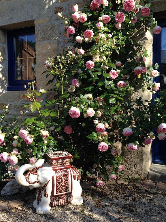 Le Domaine De Saint-Thomin Bed and Breakfast Nostang Eksteriør billede